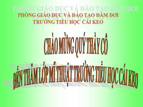 Bài 4. Đề tài vườn cây đơn giản