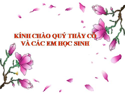 Bài 13. Đề tài Vườn hoa hoặc công viên