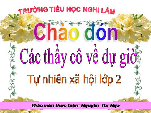 Bài 1. An toàn và nguy hiểm khi đi trên đường