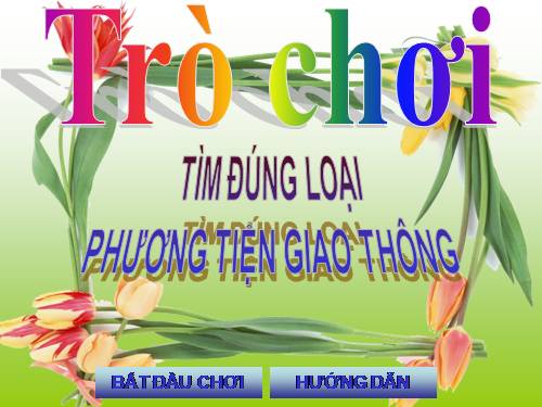 TC VỀ PHƯƠNG TIỆN GIAO THÔNG