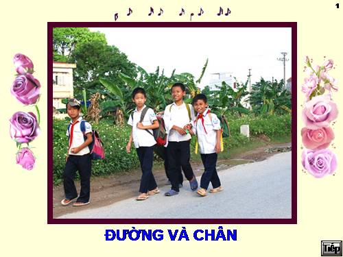 Bài 12. Đường và chân