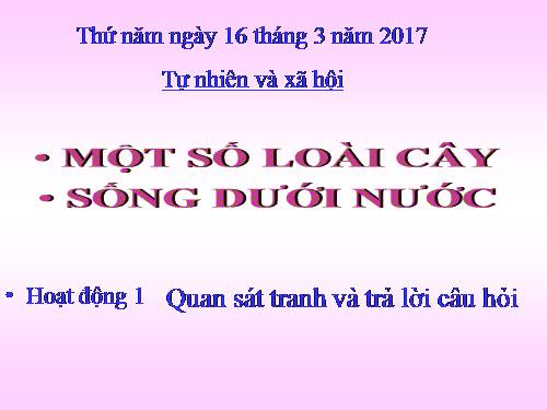 Tư nhiên xã hội lớp 2