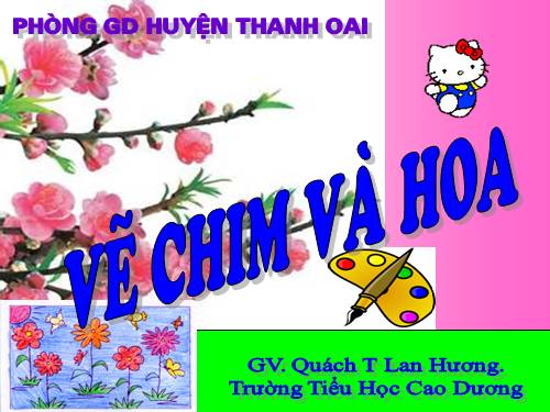 Bài 26. Vẽ chim và hoa