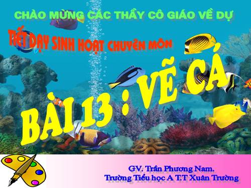 Bài 13. Vẽ cá