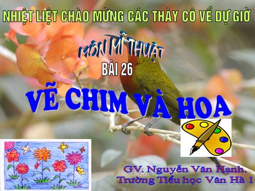 Bài 26. Vẽ chim và hoa