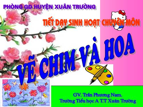 Bài 26. Vẽ chim và hoa