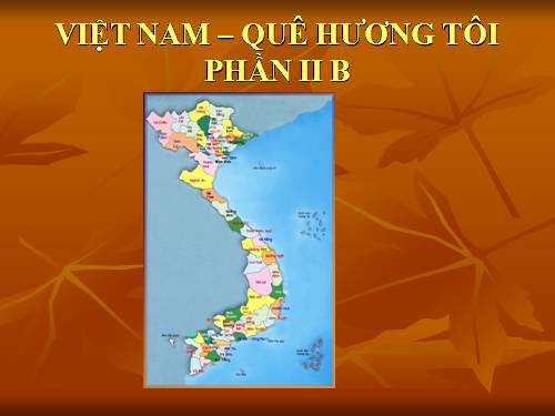 Cac vung mien Viet Nam  Phan II B