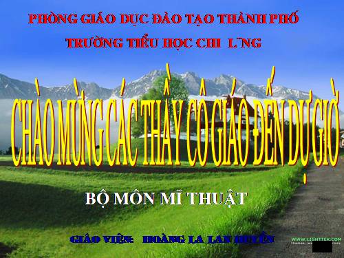 Bài 13. Vẽ cá