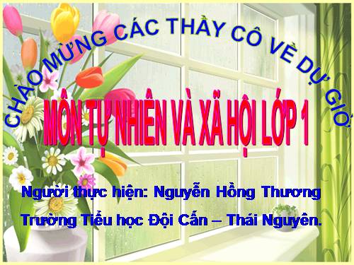 Bài 9. Hoạt động và nghỉ ngơi