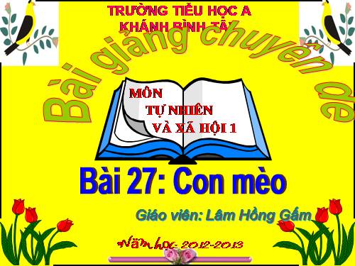 Bài 27. Con mèo