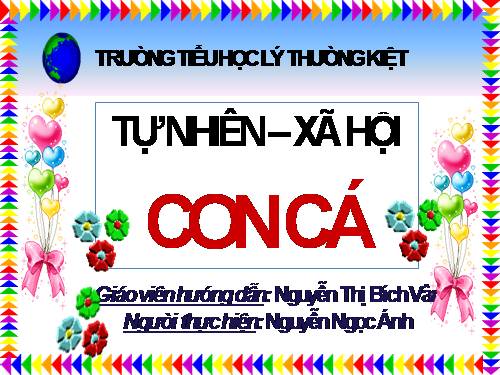 Tự nhiên xã hội lớp 1 Bài Con cá _ ánh nguyễn hyunie