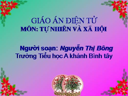 Bài 13. Công việc ở nhà.