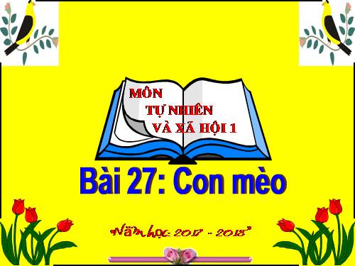 Bài 27. Con mèo