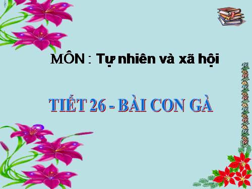 Bài 26. Con gà