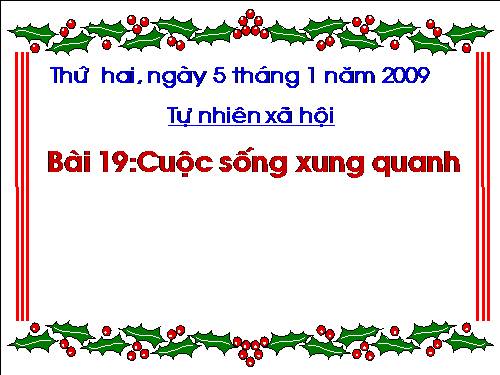 Bài 19. Cuộc sống xung quanh (tiếp theo)