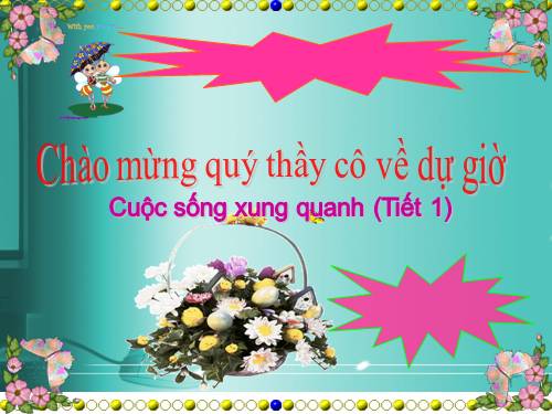 Bài 18. Cuộc sống xung quanh