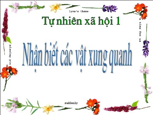 Bài 3. Nhận biết các vật xung quanh