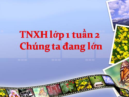 Bài 2. Chúng ta đang lớn