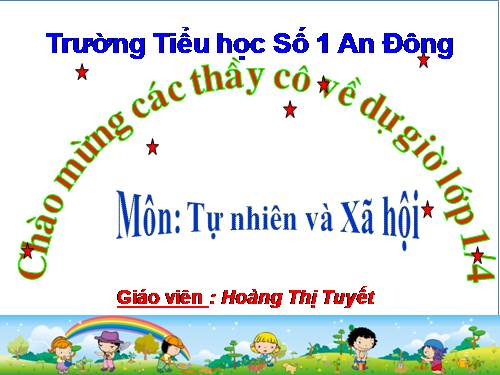 Bài 13. Công việc ở nhà.