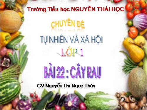 Bài 22. Cây rau