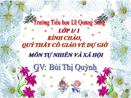 Bài 9. Hoạt động và nghỉ ngơi