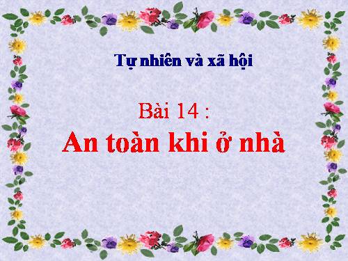 Bài 14. An toàn khi ở nhà