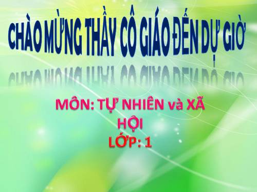 Bài 11. Gia đình