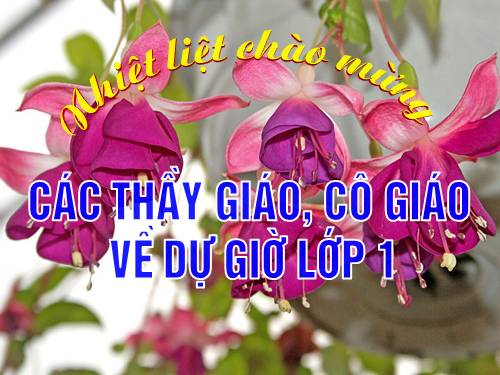 Bài 9. Hoạt động và nghỉ ngơi