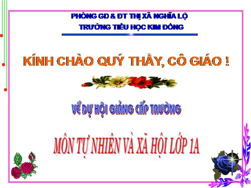 Bài 9. Hoạt động và nghỉ ngơi