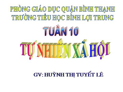 Bài 10. Ôn tập: Con người và sức khoẻ