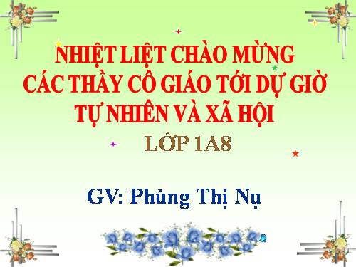 Bài 6. Chăm sóc và bảo vệ răng