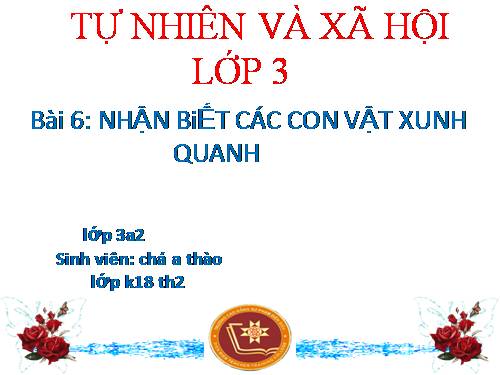 Bài 3. Nhận biết các vật xung quanh