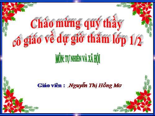 Bài 29. Nhận biết cây cối và con vật