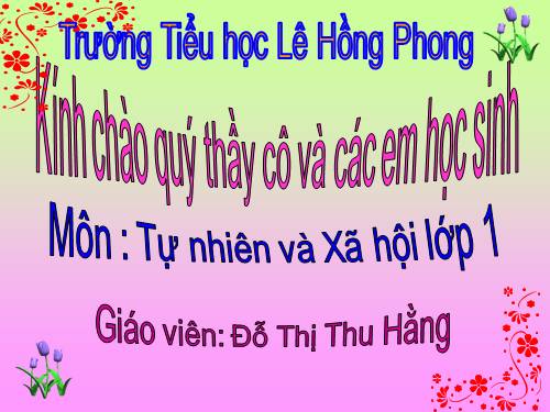 Bài 29. Nhận biết cây cối và con vật