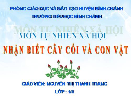 Bài 29. Nhận biết cây cối và con vật