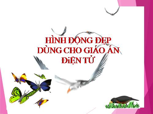 HÌNH ĐỘNG ĐẸP