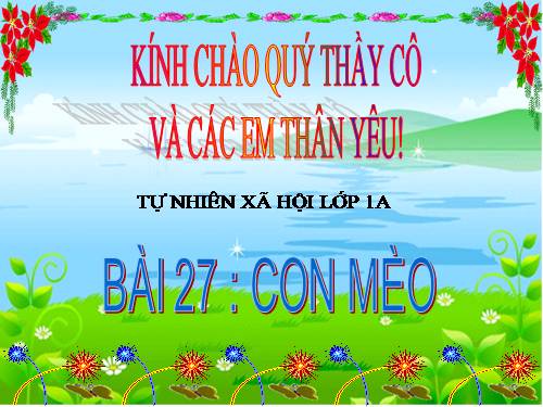 Bài 27. Con mèo