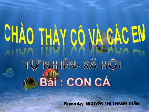 Bài 25. Con cá