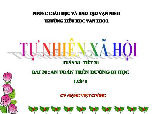 Bài 20. An toàn trên đường đi học