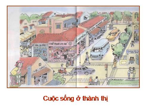 Bài 20. An toàn trên đường đi học