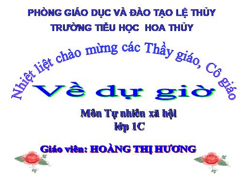 Bài 20. An toàn trên đường đi học