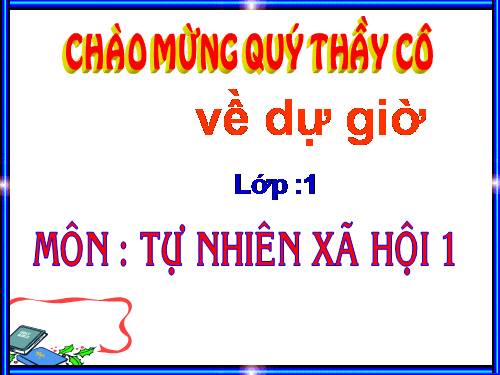 Bài 16. Hoạt động ở lớp