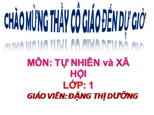 Bài 11. Gia đình