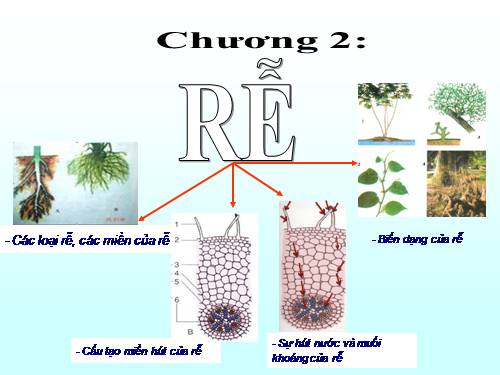 Bài 3. Nhận biết các vật xung quanh