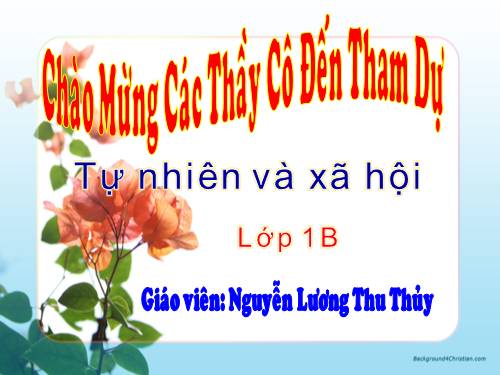 Bài 9. Hoạt động và nghỉ ngơi