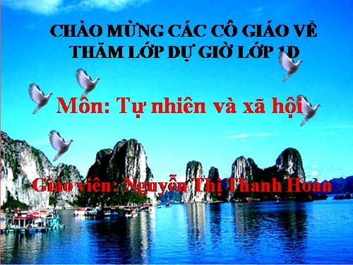 Bài 9. Hoạt động và nghỉ ngơi