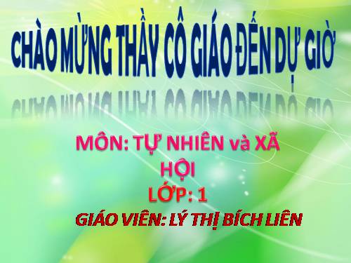 Bài 11. Gia đình