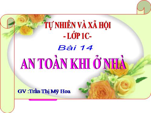 Bài 14. An toàn khi ở nhà