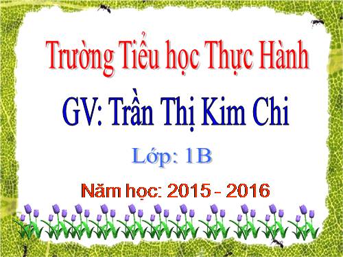 Bài 20. An toàn trên đường đi học