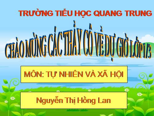 Bài 8. Ăn, uống hàng ngày